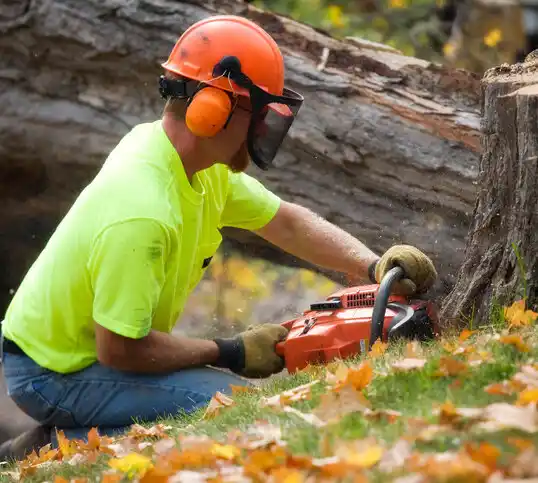 tree services Cameron